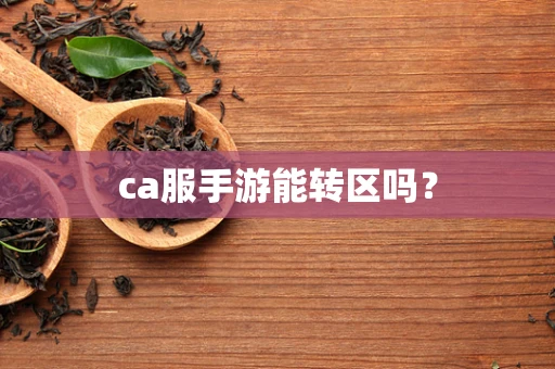 ca服手游能转区吗？