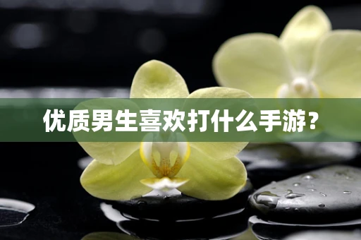 优质男生喜欢打什么手游？