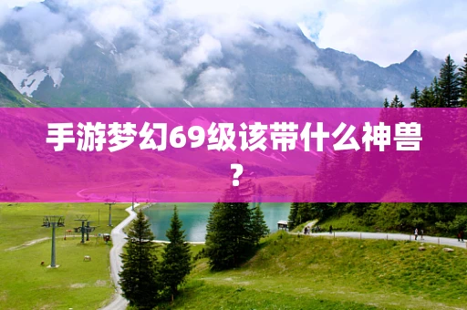手游梦幻69级该带什么神兽？
