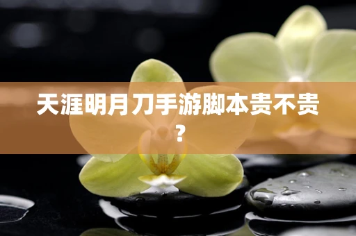 天涯明月刀手游脚本贵不贵？