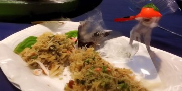 跑跑手游举报会有反馈吗？