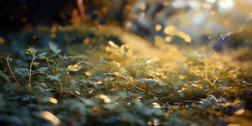 风语纪手游安全吗？