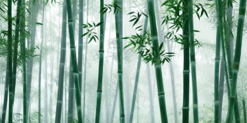 武林外传手游真的有点卡吗？